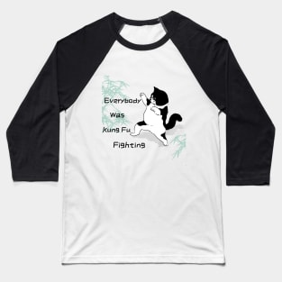 Kung Fu Fighting Cat Tee Baseball T-Shirt